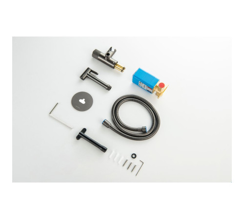 Комплект для гигиенического душа встроенный Aquatek Бетта Select оружейная сталь AQ1023BGM