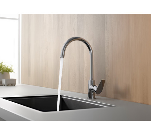 Смеситель для кухни Aquanet Betta хром AQ1182CR