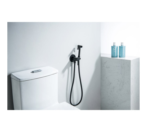 Комплект для гигиенического душа встроенный Aquatek Европа матовый черный AQ1021MB