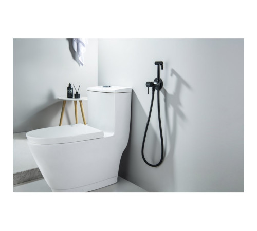 Комплект для гигиенического душа встроенный Aquatek Европа матовый черный AQ1021MB