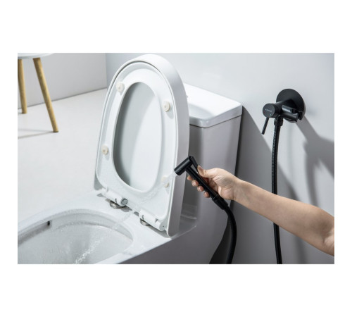 Комплект для гигиенического душа встроенный Aquatek Европа матовый черный AQ1021MB