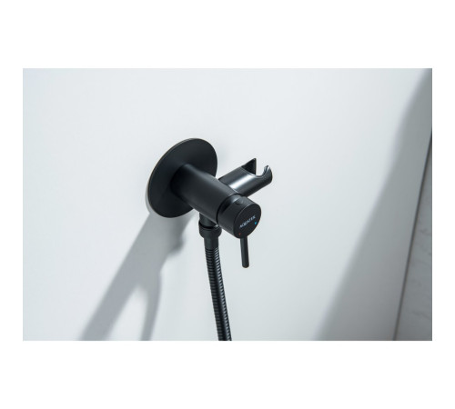 Комплект для гигиенического душа встроенный Aquatek Европа матовый черный AQ1021MB