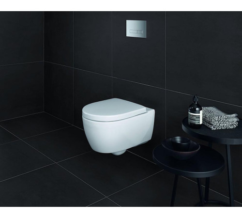 Сиденье для унитаза Geberit iCon Soft-close 574130000