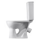 Унитаз-компакт Sanita Орион белый сиденье полипропилен косой выпуск 1.P400.8.S00.00B.F