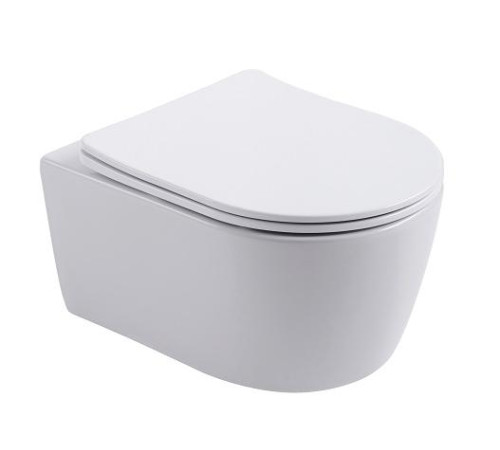 Унитаз подвесной безободковый Aquanet Европа 490x360x250 мм сиденье микролифт AQ1106-00