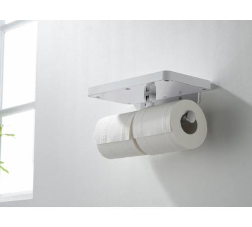 Бумагодержатель двойной с полкой Aquanet Europa хром AQ4919CR