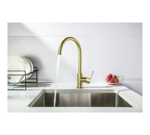 Смеситель для кухни Aquanet Oberon шлифованное золото AQ1282BG