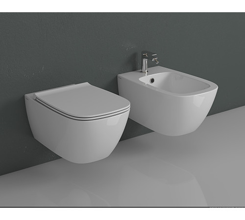 Биде подвесное Globo Genesis 550х360 мм белый глянцевый GNS09BI