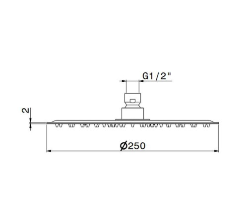 Верхний душ Newform X-STEEL 316 d25 см без кронштейна G1/2 INOX 29392X.50.050