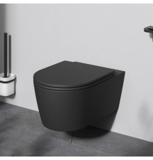 Унитаз подвесной AM.PM Func FlashClean с сиденьем микролифт матовый C8F1701MBSC