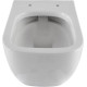 Унитаз подвесной Allen Brau Infinity безободковый 36x51x35 см белый 4.21004.20