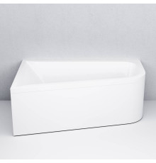 Панель фронтальная для ванны AM.PM Like 160х100 см универсальная W72A-160U100W-P2