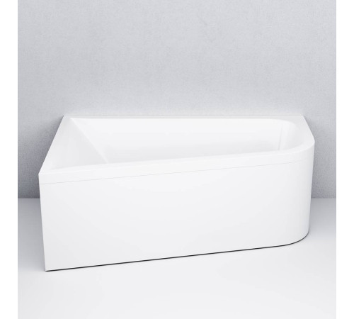 Панель фронтальная для ванны AM.PM Like 160х100 см универсальная W72A-160U100W-P2