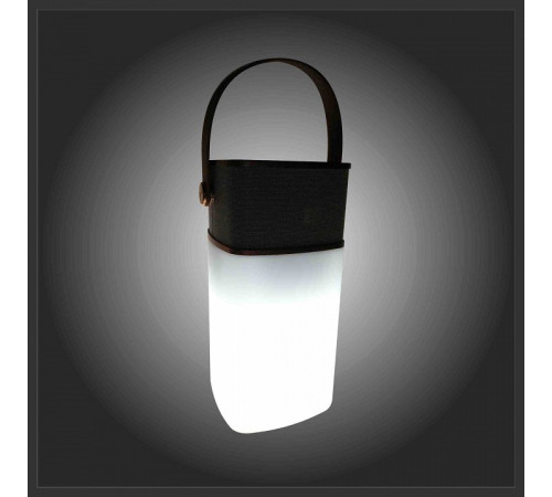 Фонарь кемпинговый Apeyron Electrics 11-104