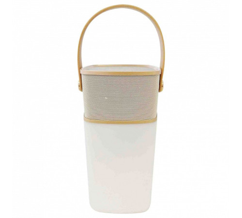 Фонарь кемпинговый Apeyron Electrics 11-104