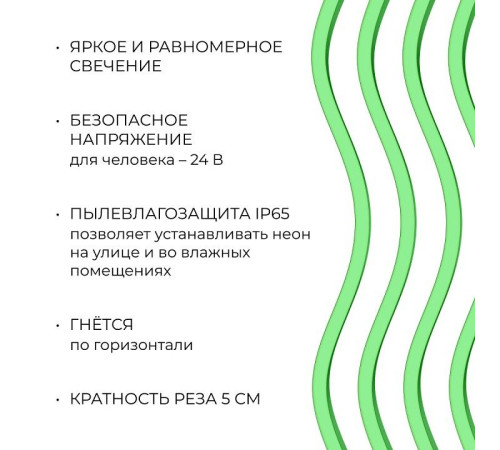 Шнур световой Apeyron Electrics 17-306