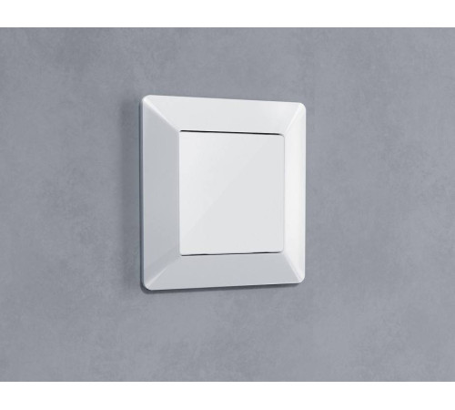 Заглушка для поста с рамкой Ambrella Volt Quant AP1160