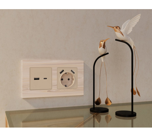 Накладка для розетки с заземлением и со шторками и 2хUSB type A Ambrella Volt Quant AP3290