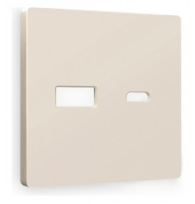 Накладка для розетки type A и C Ambrella Volt Quant AP3310