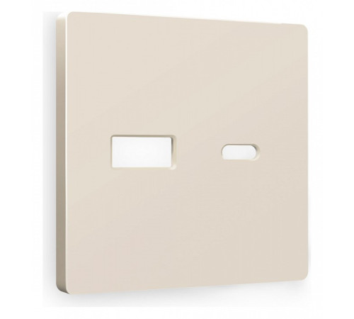 Накладка для розетки type A и C Ambrella Volt Quant AP3310