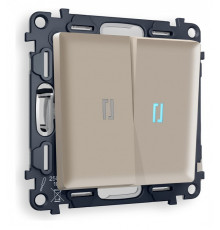 Выключатель двухклавишный с подсветкой без рамки Ambrella Volt Quant MA364020