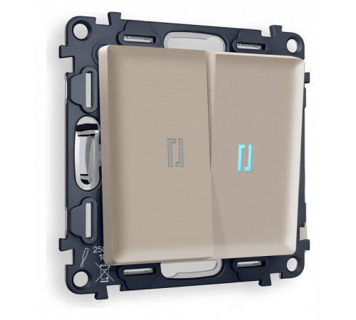Выключатель двухклавишный с подсветкой без рамки Ambrella Volt Quant MA364020