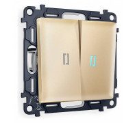 Выключатель проходной двухклавишный с подсветкой Ambrella Volt Quant MA604040