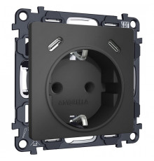 Розетка с заземлением и 2хUSB type C, без рамки Ambrella Volt ALFA MA910510