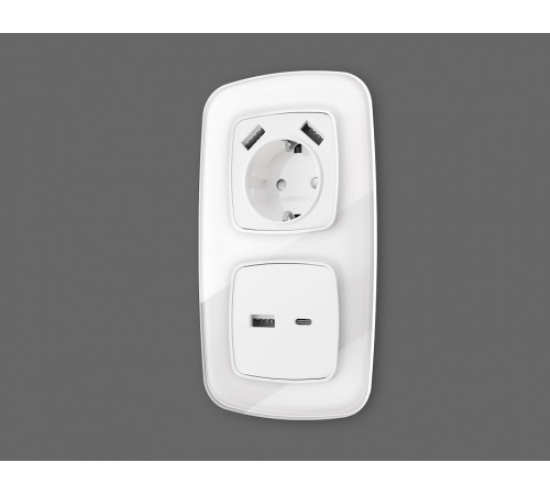 Накладка для розетки type A и C Ambrella Volt Quant OP1310