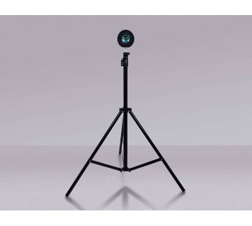 Настольная лампа декоративная Ambrella Light DE DE8387