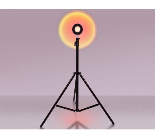 Настольная лампа декоративная Ambrella Light DE DE8387