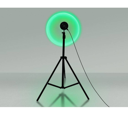 Настольная лампа декоративная Ambrella Light DE DE8387