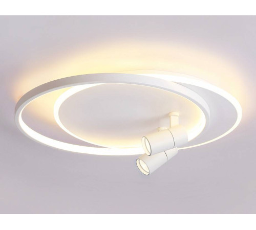 Накладной светильник Ambrella Light FL FL51391