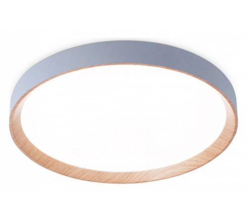 Накладной светильник Ambrella Light FZ FZ1322