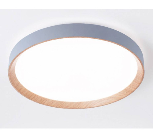 Накладной светильник Ambrella Light FZ FZ1322