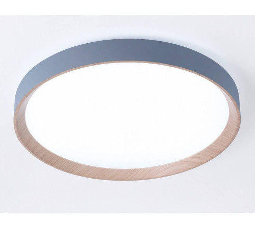 Накладной светильник Ambrella Light FZ FZ1322