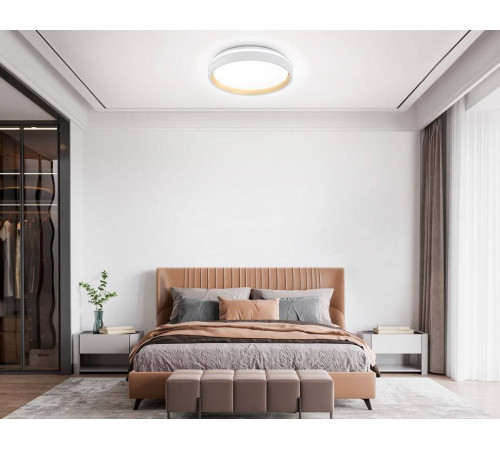 Накладной светильник Ambrella Light FZ FZ601