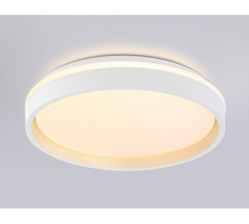 Накладной светильник Ambrella Light FZ FZ601