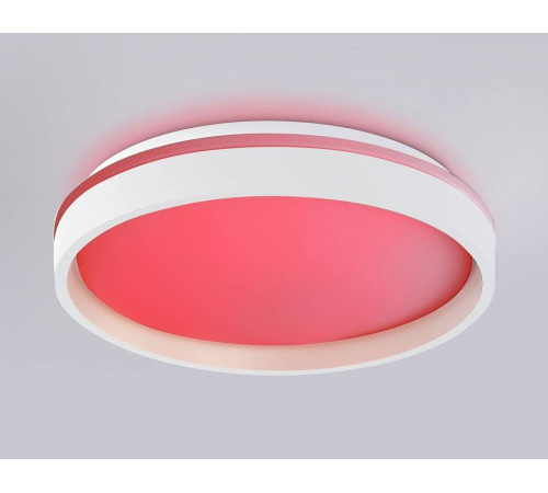 Накладной светильник Ambrella Light FZ FZ601