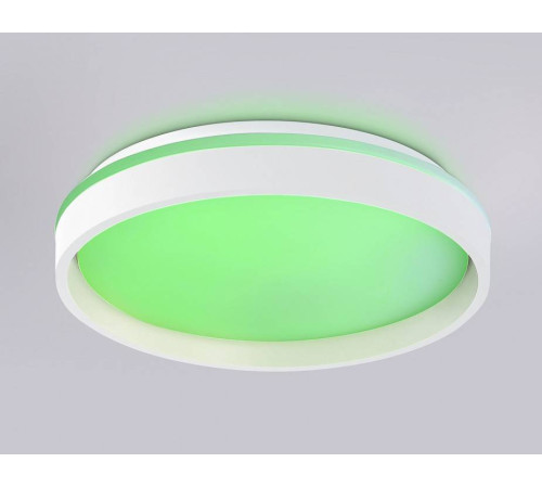 Накладной светильник Ambrella Light FZ FZ601