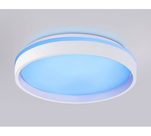 Накладной светильник Ambrella Light FZ FZ601