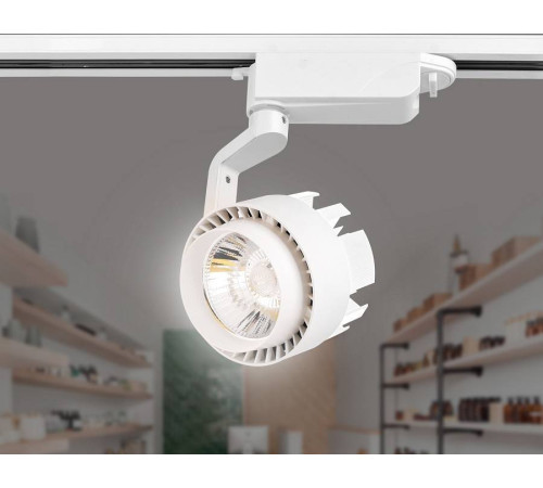 Светильник на штанге Ambrella Light GL GL6103