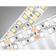 Лента светодиодная Ambrella Light GS GS1602