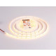 Лента светодиодная Ambrella Light GS GS4651