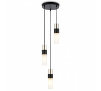 Подвесной светильник Ambrella Light LH LH55102