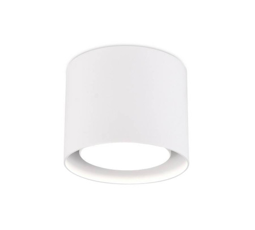 Накладной светильник Ambrella light TN TN700