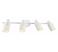 Спот Ambrella Light TR TR8666