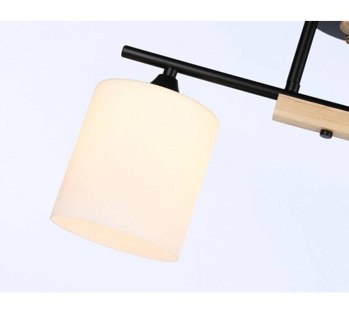 Светильник на штанге Ambrella Light TR TR9543