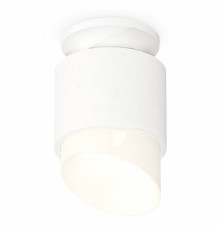 Накладной светильник Ambrella Light XS XS7510046