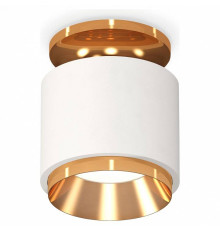 Накладной светильник Ambrella Light XS XS7510120